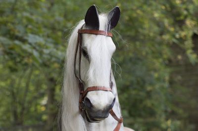 Yorkshire Rocking Horses Dapple Grey Hand Carved Turned Head